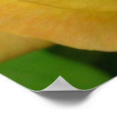 Impression de rose jaune Affiche de fleurs belle i (Coin)