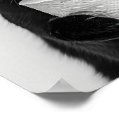 Impression de salle de bain Chat Noir, Chat tenant (Coin)