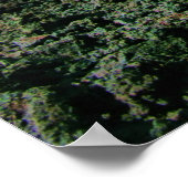 Impression de scène Guatemala (Coin)