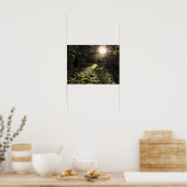 Impression de soleil de jardin (Cuisine)
