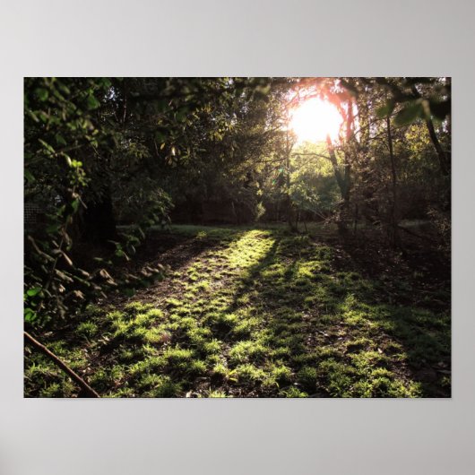 Impression de soleil de jardin (Devant)