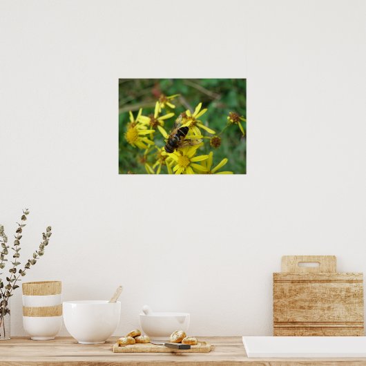 Impression de survol (Cuisine)