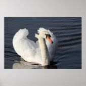 Impression de Swan (Devant)