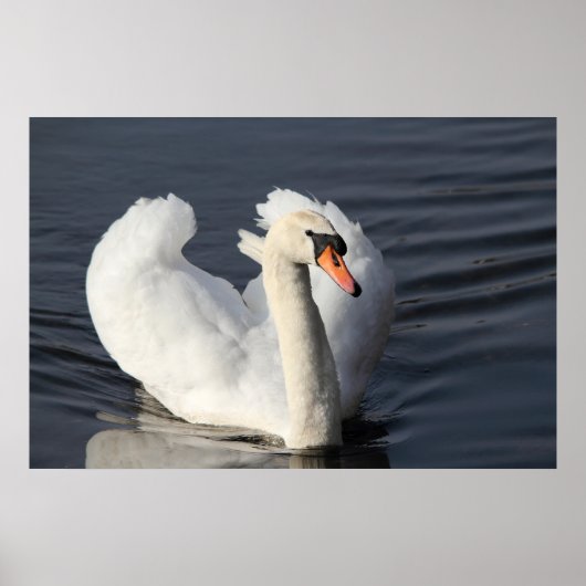 Impression de Swan (Devant)