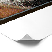 Impression de tigre géant (Coin)