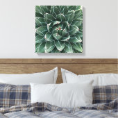 Impression de toile agave Queen Victoria (Insitu(Chambre))