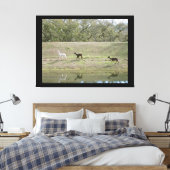 Impression de toile - Alpacas sur la colline (Insitu(Chambre))