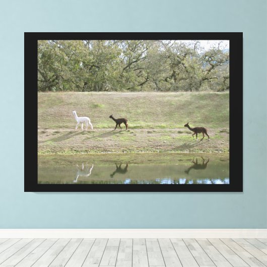 Impression de toile - Alpacas sur la colline (Insitu (Plancher de Bois))