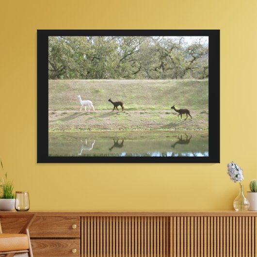 Impression de toile - Alpacas sur la colline (Insitu(Salon))