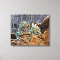 Impression de toile avec des lézards curieux