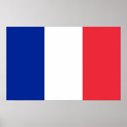 Impression de toile avec Drapeau de France (Devant)