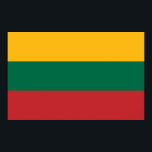 Impression de toile avec Drapeau Lituanie<br><div class="desc">Ajoutez à votre décor une déclaration audacieuse de fierté lituanienne avec cette impression de toile vibrante arborant le drapeau lituanien ! Présentant le tricolore emblématique du jaune, du vert et du rouge, cette toile de haute qualité est un hommage frappant au riche patrimoine culturel lituanien. Que ce soit dans votre...</div>