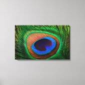 Impression de toile avec image couleur plumes paon (Recto)