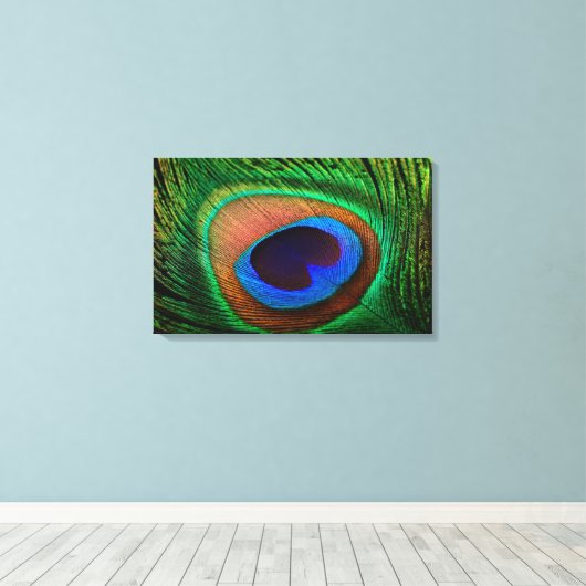 Impression de toile avec image couleur plumes paon (Insitu (Plancher de Bois))