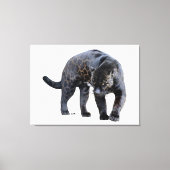 Impression de toile blanche de Jaguar Diablo (Recto)