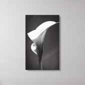 Impression de toile calla lily (Recto)