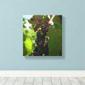 Impression de toile - Cluster de raisins sur la vi (Insitu (Plancher de Bois))