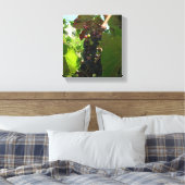 Impression de toile - Cluster de raisins sur la vi (Insitu(Chambre))