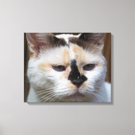 Impression de toile Cream Calico 20"x16" (Recto)