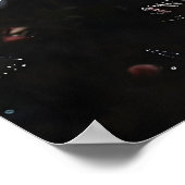 Impression de toile d'araignée florale, impression (Coin)