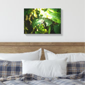 Impression de toile d'araignée hawaïenne (Insitu(Chambre))