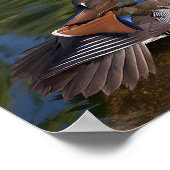 impression de toile de canard mandarin (Coin)