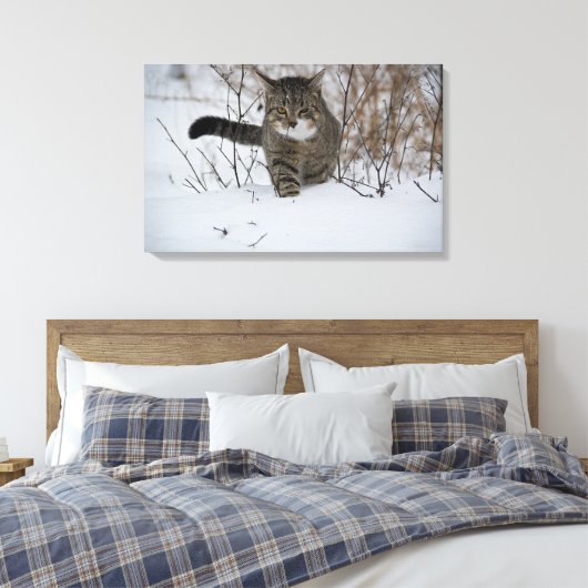 impression de toile de chat d'hiver (Insitu(Chambre))
