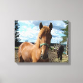 Impression de toile de cheval (Recto)