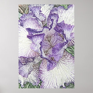 Impression de toile de fleur d'iris blanc et viole