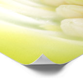 Impression de toile de marguerite (Coin)