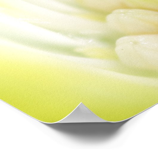 Impression de toile de marguerite (Coin)