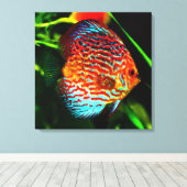 Impression de toile de poisson de l'aquarium Discu (Insitu (Plancher de Bois))