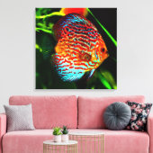 Impression de toile de poisson de l'aquarium Discu (Insitu(Salon))