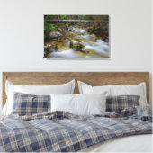 Impression de toile de ruisseau de la forêt rocheu (Insitu(Chambre))