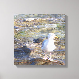 impression de toile de seagull