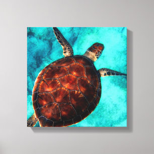 Impression de toile de tortue marine