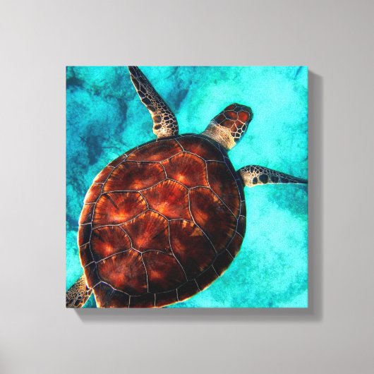 Impression de toile de tortue marine (Recto)