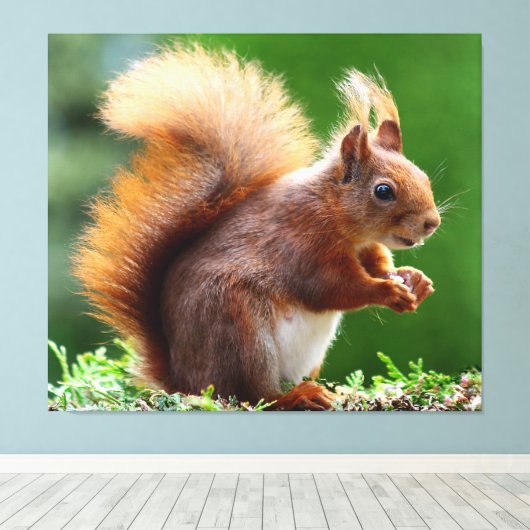 Impression de toile d'écureuil drôle (Insitu (Plancher de Bois))