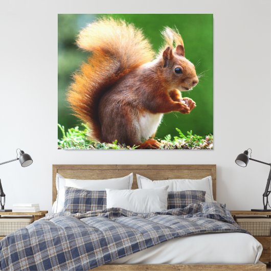 Impression de toile d'écureuil drôle (Insitu(Chambre))