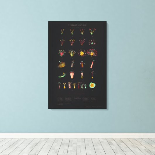 Impression de toile étirée (Insitu (Plancher de Bois))