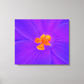 Impression de toile étirée (Recto)