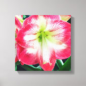 Impression de toile étirée (Recto)