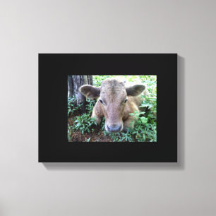 Impression de toile étirée Calf 1