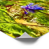 Impression de toile fleur sauvage du Colorado (Coin)