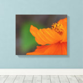 Impression de toile florale orange (Insitu (Plancher de Bois))