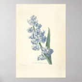 Impression de toile Hyacinth (Devant)