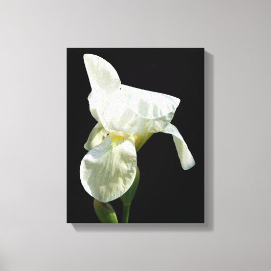 Impression de toile Iris (Recto)