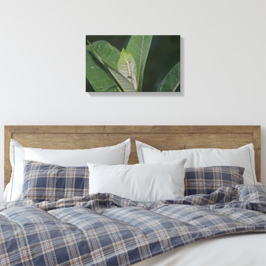 Impression de toile Monarch Caterpillar (Insitu(Chambre))