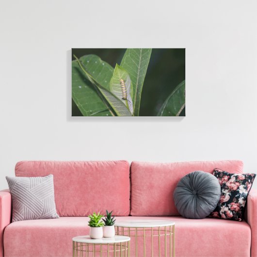 Impression de toile Monarch Caterpillar (Insitu(Salon))