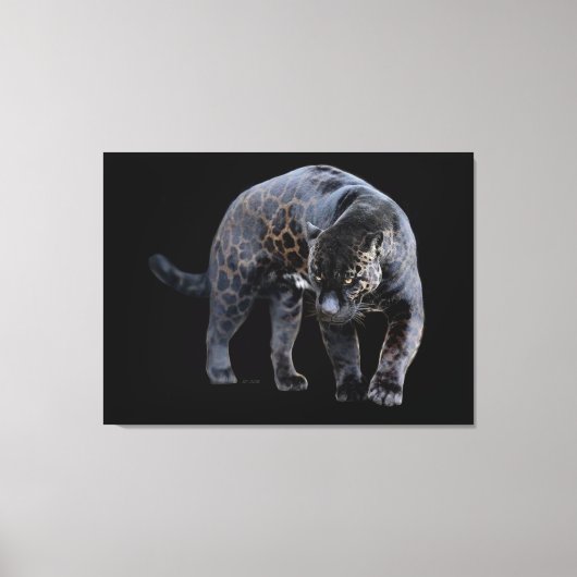 Impression de toile noire Jaguar Diablo (Recto)